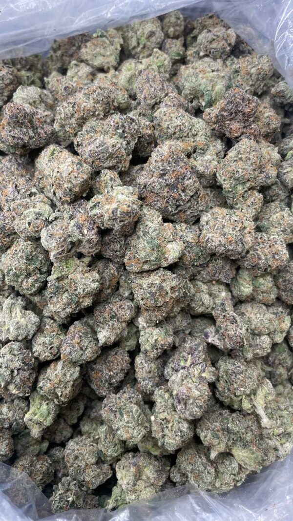 Cherry🍒🍭Cholupa